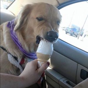 Meet your Posher, Cole